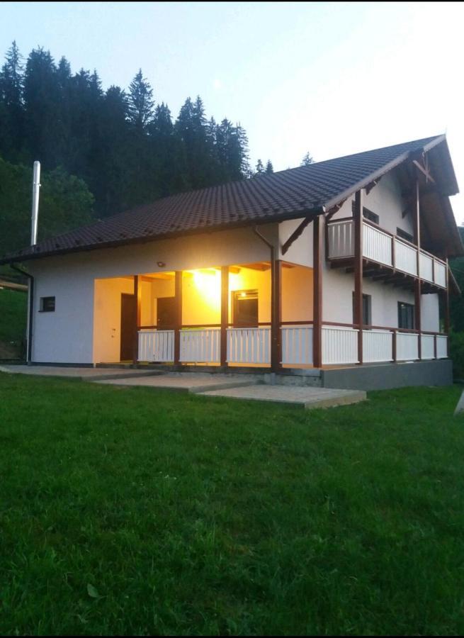 Andrhouse Daire Verkhovyna Dış mekan fotoğraf